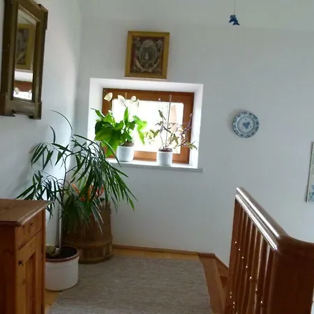 Apartamento Haus Hoenegger Mariapfarr