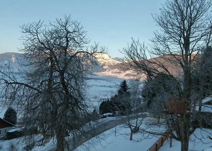 Haus Hoenegger Apartment *